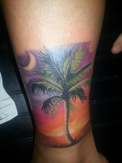 Amazing Colored Palm Tree Tattoo On Leg Sleeve